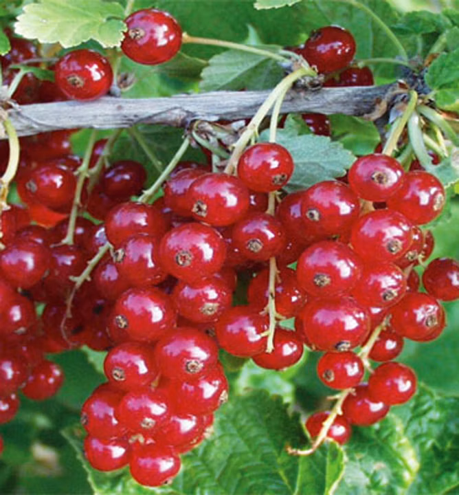 192c76d1f42767f183a45cb852c72e2a