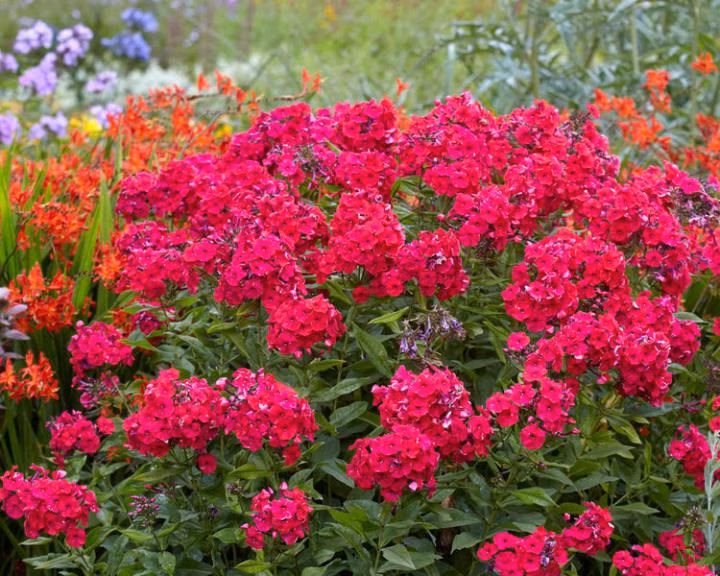 1943fb5b1e8cd38551a655817a5008b5