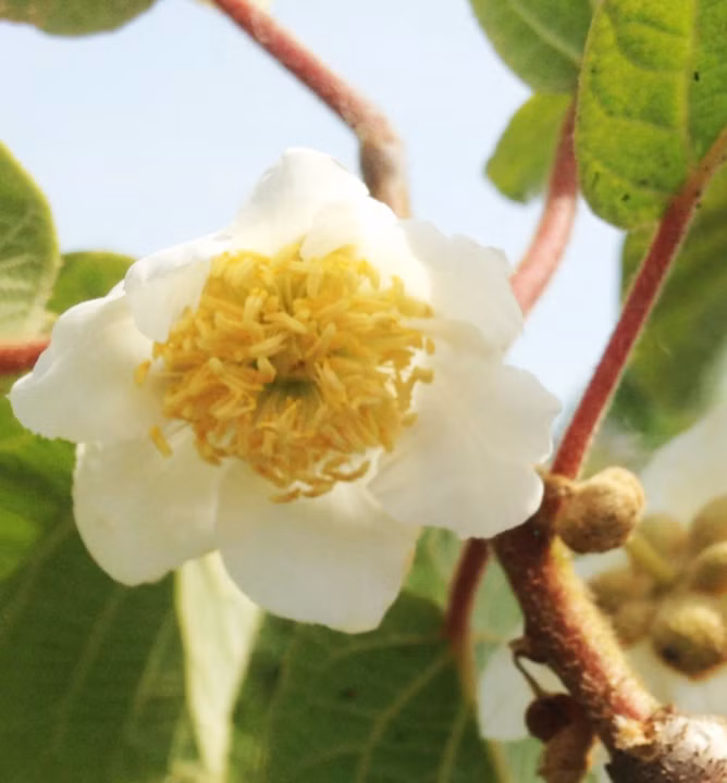 19763339c7fce1bb694cce18770b2cbd