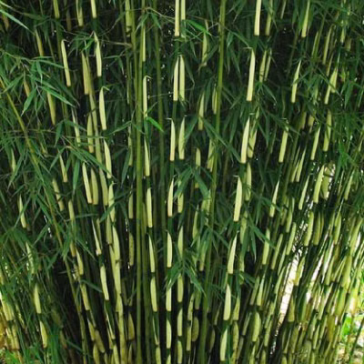 19aed3e16f2a2a63c4638bf723b42cb4