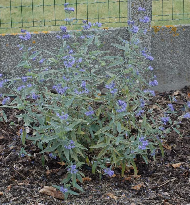 19b4e72949c0fbb032d066a8fed86637