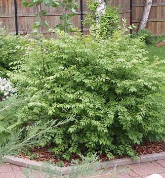 19cf5a611d8c07ae061b53f5a12ff8fc