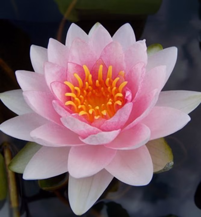 19d7d9c5f6df7be11d3e2f7a32312230