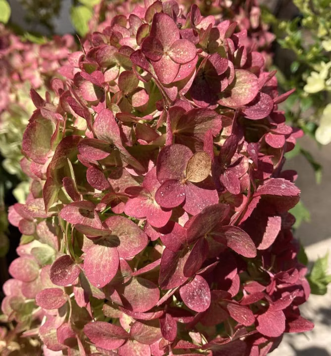 19f4f7083438602c23ec38aaf3d9d651