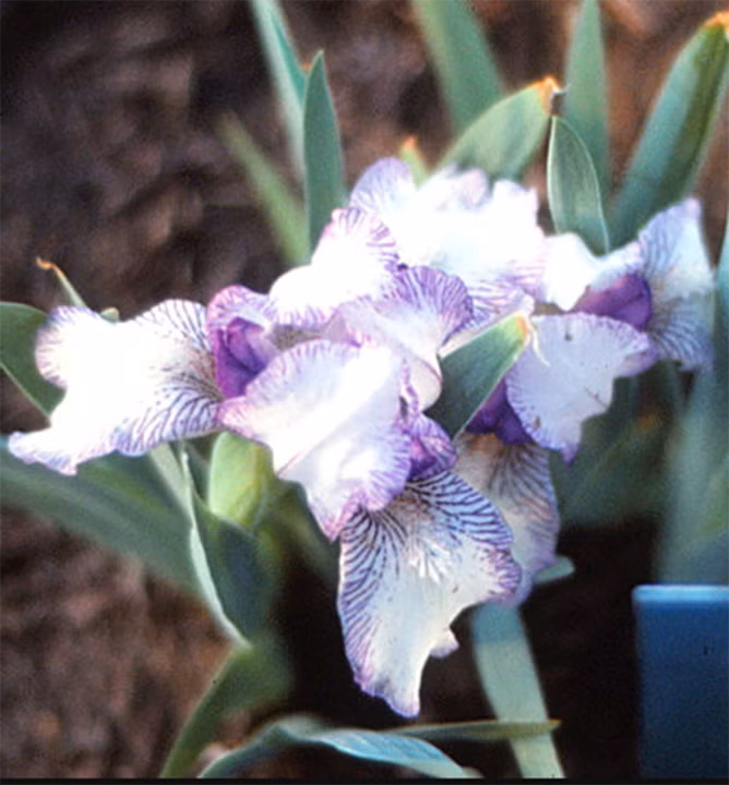 1a13e56b695bff84fa6996993a8e5a93