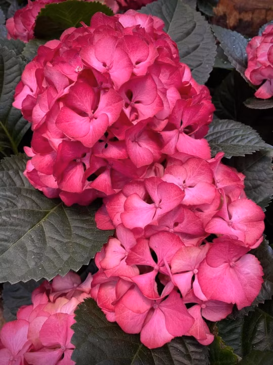 1a2931640563acd12ffe227d3df8143e