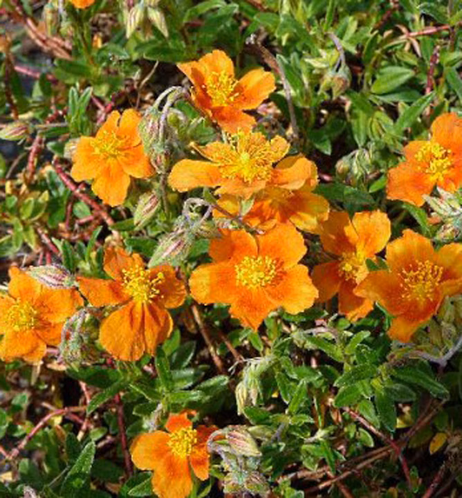 1a443bf90fcccb7fb6a2e60aa7ee49ac