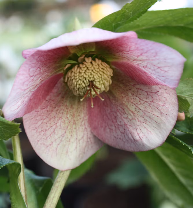 1a85dc897466b74b47db7c489feb3156