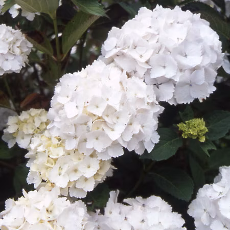 1a9062b99be6d135515df5a56ca0992f