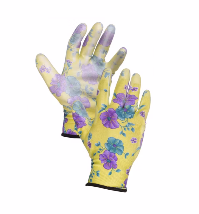 1ae491935d09ae4fd00f8546ea213111