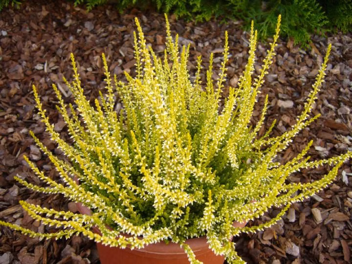 1b0e8067dd74b7b21c9f0bb7e59fb1d1