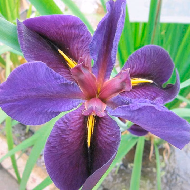 1b461214ae9646924bffa0eea8609399