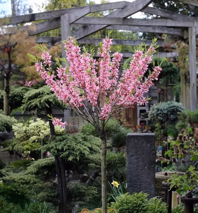 1b5461a9cf729fd6012fbdb6ffbde799