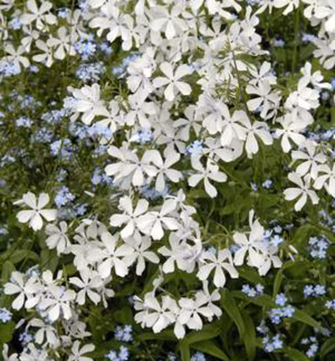 1b5900d4962942138dc7564ea7ca1d7b