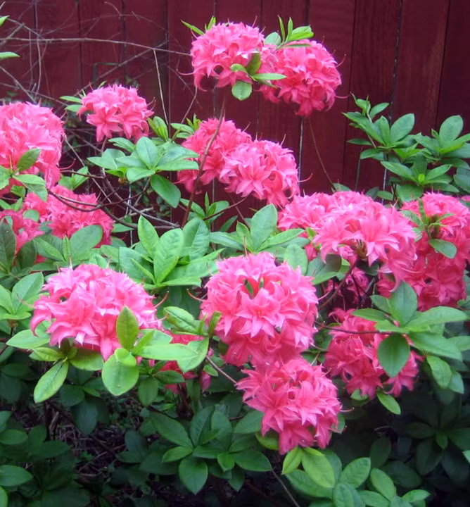 1b5b2605175c78fcb2e7920c0e233744