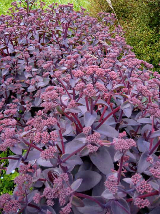 1b650d76e4e0b94549f1b2e87d593ea3