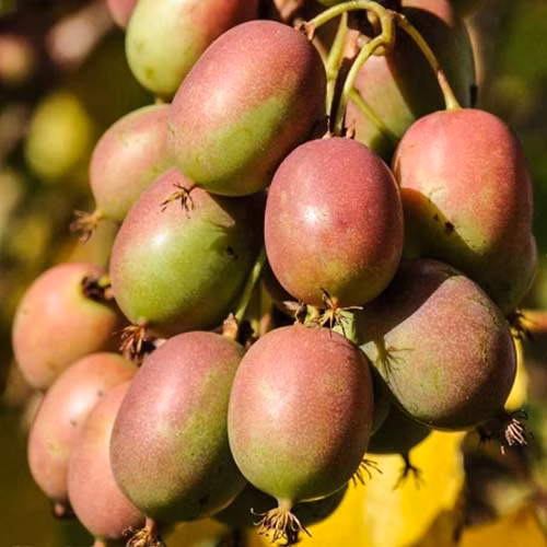 1b6bb23d0d4d672d6f536c014d42e268