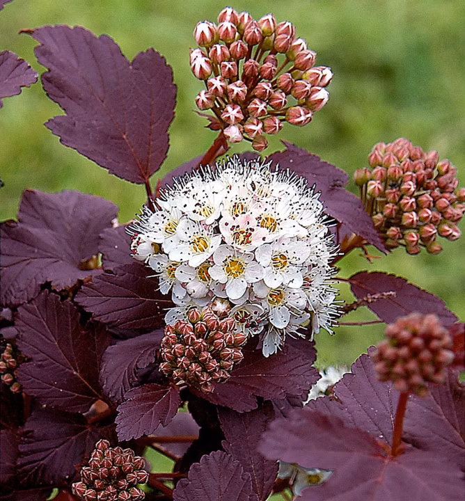 1b81203950e9fc08b99717237f0526e6