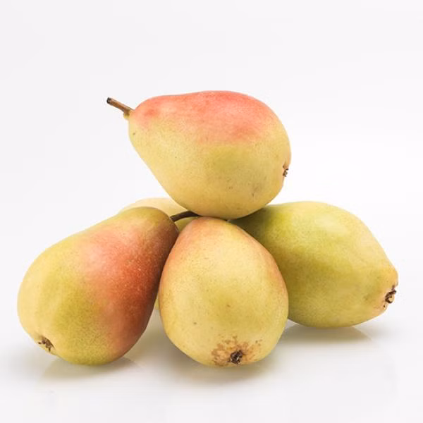 1b8f551fc4ef0897c0f57d76aa27f7e7