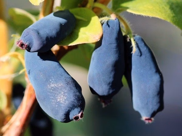 1b98e324954d4a8c43e833e18946530d