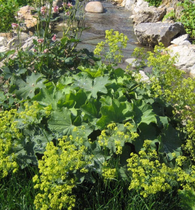 1ba96939c631d5d2017ca6cdb50a38e9