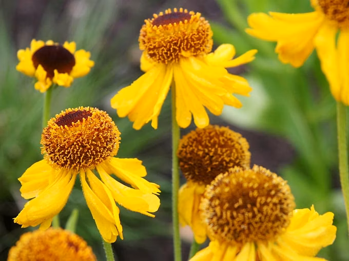 1bdfc65611e98a5e386eb9b3e7d81c02