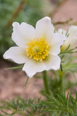 1bf69fc3198f2061d5ff2930c5901a88