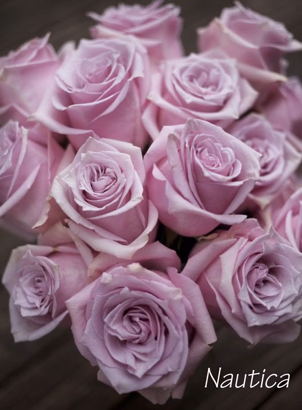 1c1c878173dce8bf49a46646d1d211d1