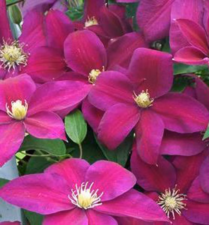 1c2b363813f5467342123a27ac877c20