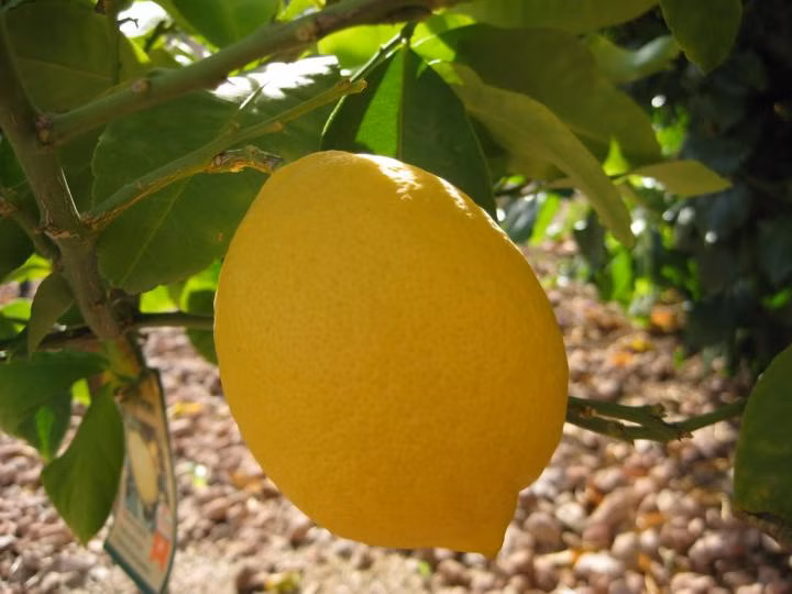 1c3aa1f4285dd6fd43e15fb43b8d3a8b