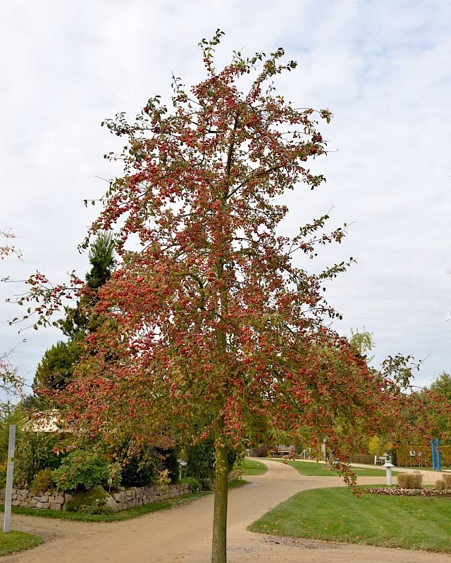 1c43ddc4bc88a2033c71830175a1563b