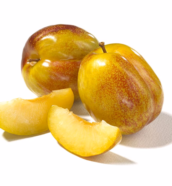 1c6db2f055b5d96bc44be24f5deb3e13