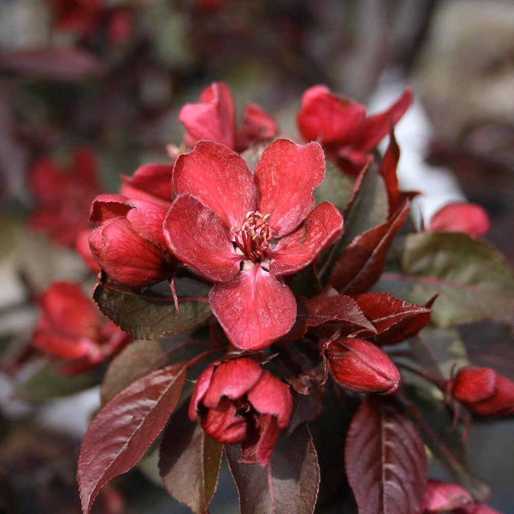 1c9ab38780a4e4ecf8db6a8ab48f1142