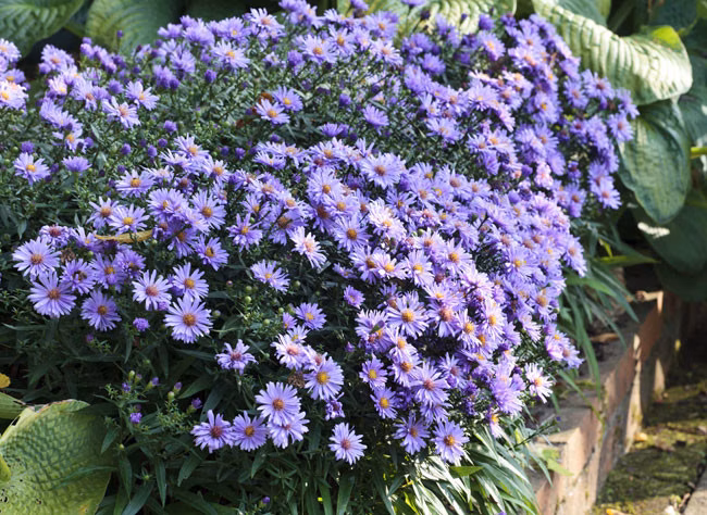 1cb8241def7191ceb210c57beb50700b