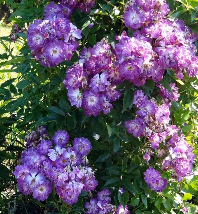 1ccb29d00a94b4ee22e2e0922002d2f6