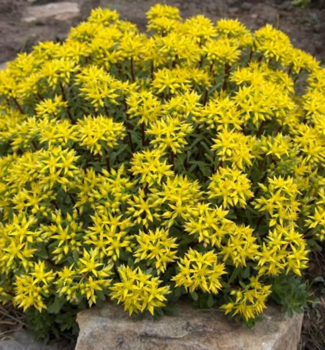 1ccb920a0522eab1eb092fdb81aa498d