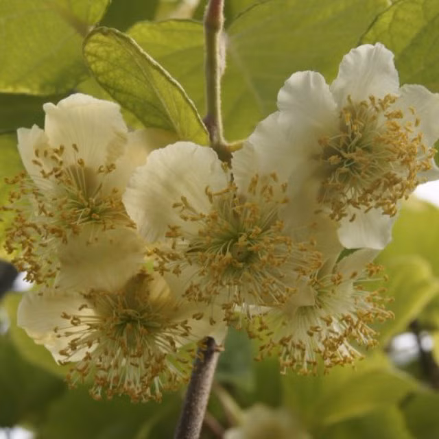 1d32fbc27fc3124d38ef274e64650edf