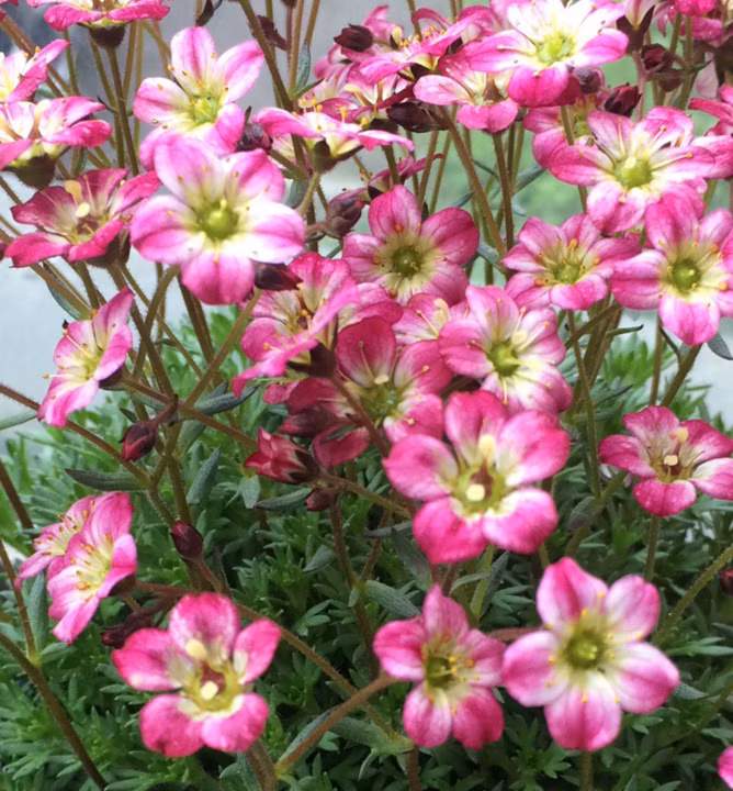 1d370d4d1e68844bbd31d8ad839ee420