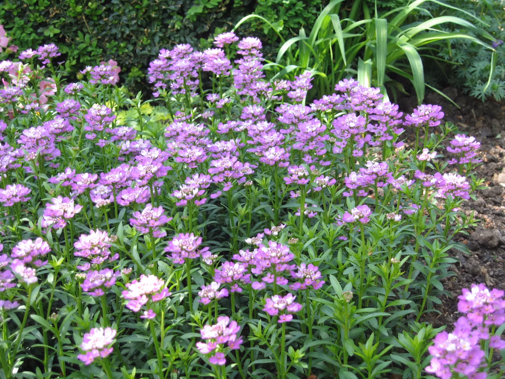 1d3e50338caf8aa5a290f9297c9a4a87