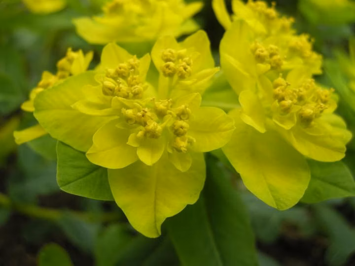 1d4f4d64404e5432004bcfe0c0a92303