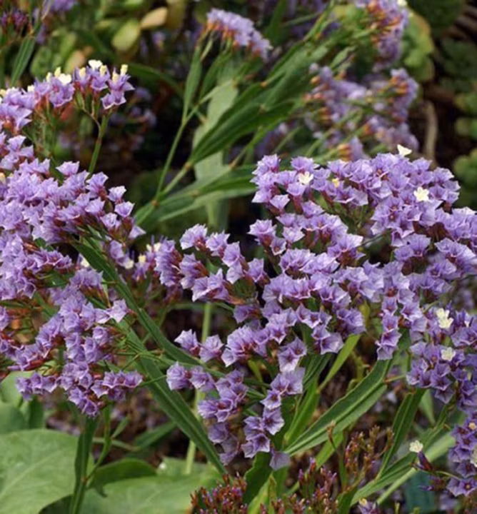 1d540efa1f79e9d3737fec94e1c639d9