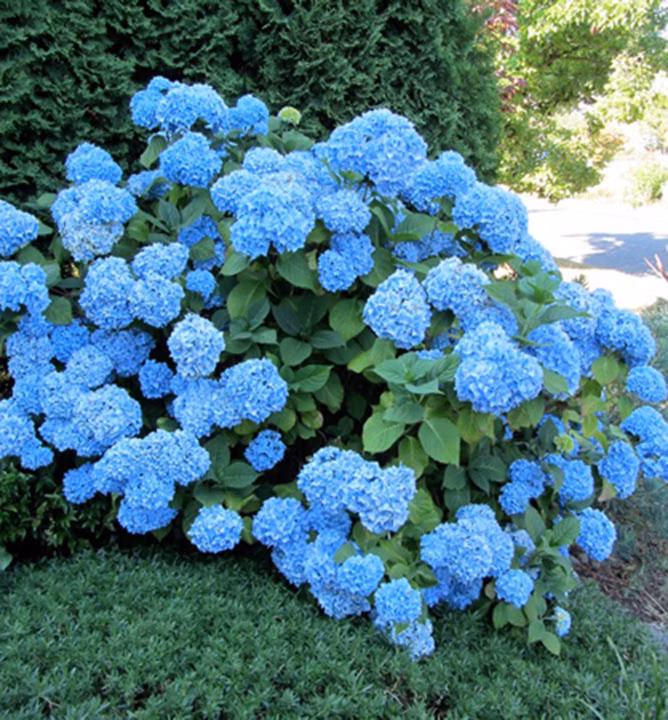 1d5cc3484b6601cc3447d3800cbc90a6