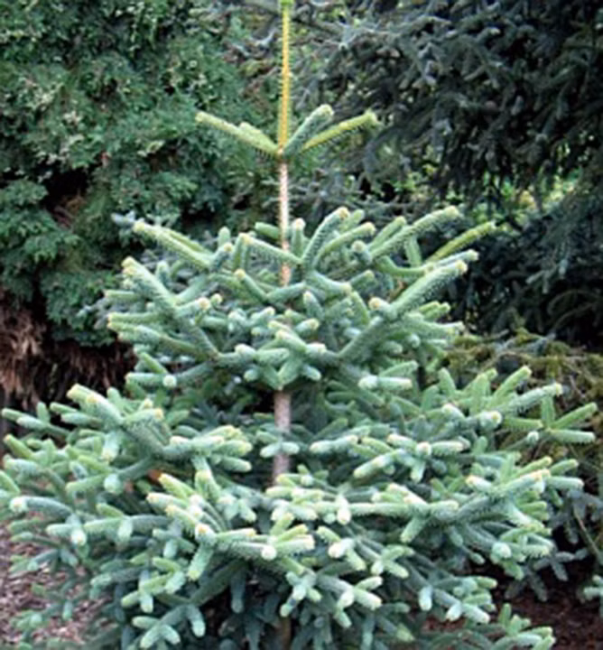 1d5d3dd36c51f8b436b471fdf00605d7