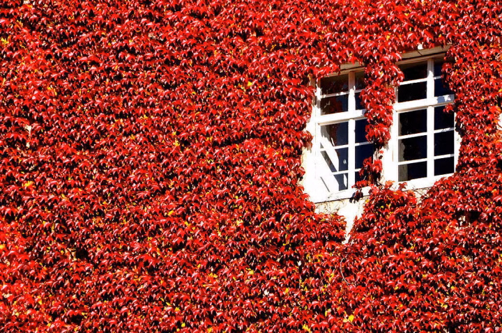 1d7050cff31678ba22361c639af1217f