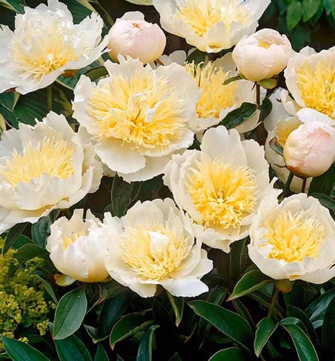 1dfd58fa7f065432a97c7a654471c226