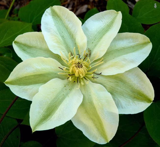 1e10ea3506ccc71e47e6de345e0f25b7