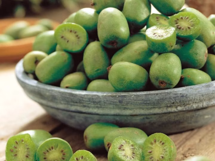 1e2a7663db0471caf0734edaf8215dcc