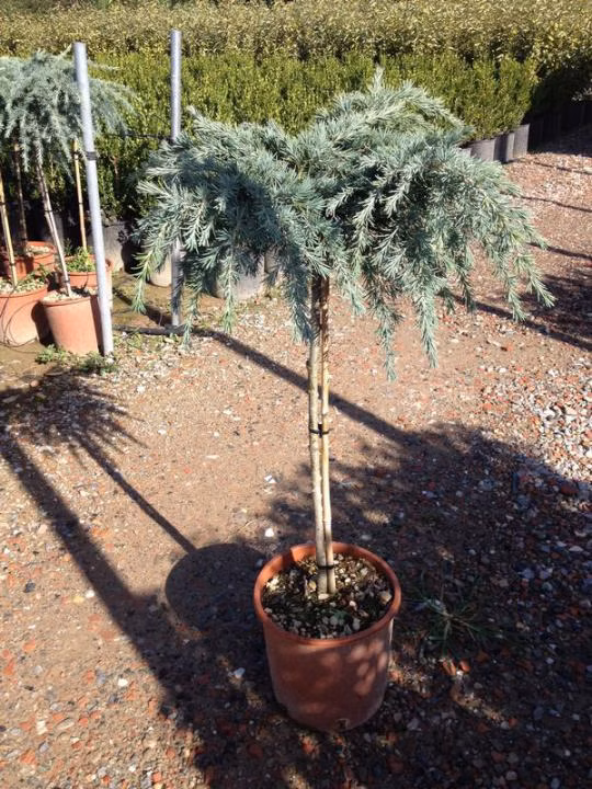 1e4458b870ae74e247b1925b046dee1f