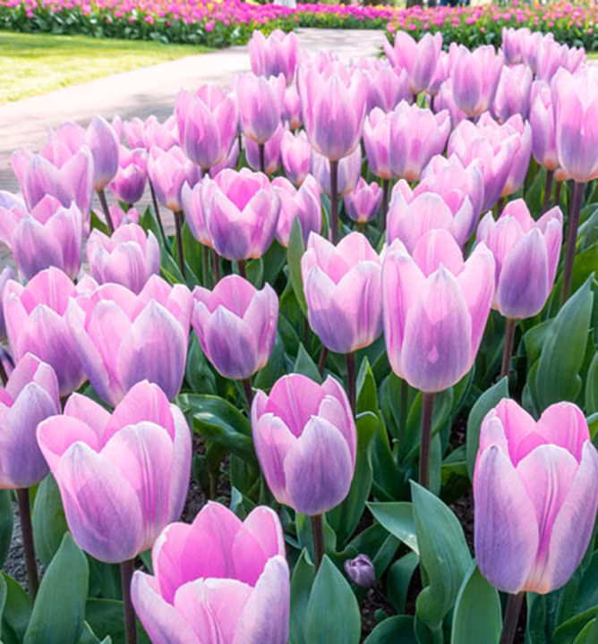 1e6e74057ad807ec464e07e3d374196c