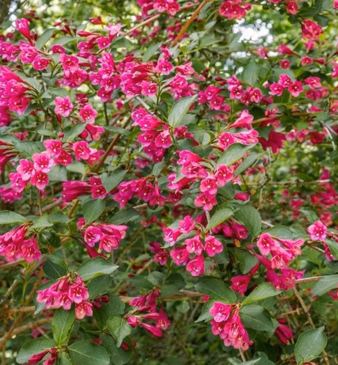 1eae6abf53a0e7f8f6dfe1686fefb891